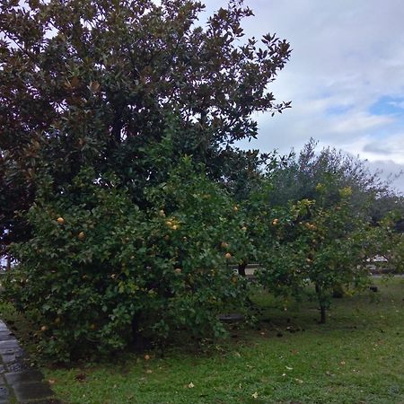Villa Pellicano -Il Nido Castellammare di Stabia Extérieur photo