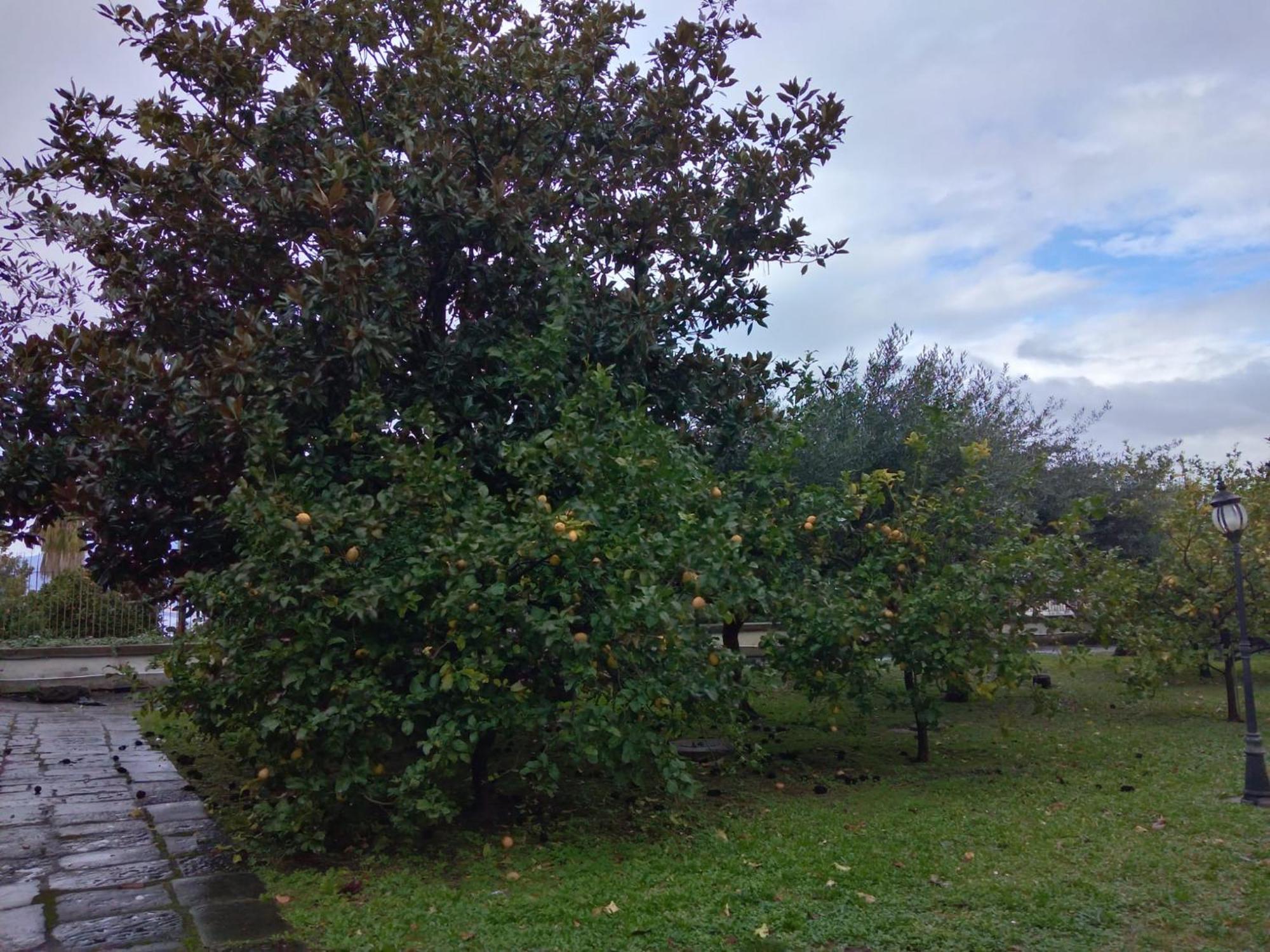 Villa Pellicano -Il Nido Castellammare di Stabia Extérieur photo